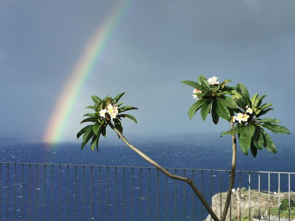 Casa Atlantico Tropischer Seitenfluegel Ribeira Brava Εξωτερικό φωτογραφία